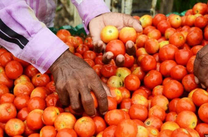 किसानों को लाभकारी मूल्य मिल रहे
