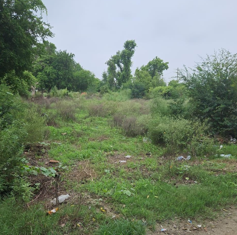 पंचायत भवन की जमीन को कराया बैनाम