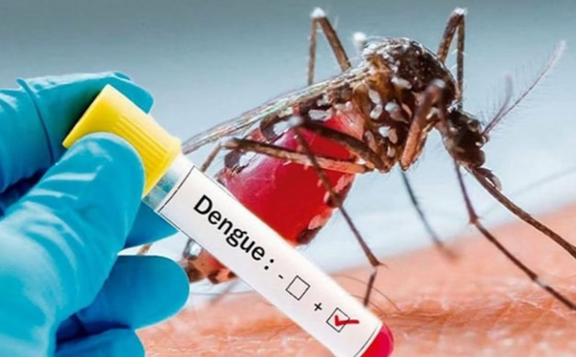 Dengue Diet: डेंगू बुखार में संजीवनी से कम नहीं हैं ये 6 जूस, झट से बढ़ेगी प्लेटलेट्स