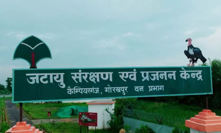 सीएम योगी करेंगे एशिया के पहले राजगिद्ध संरक्षण केंद्र का उद्घाटन